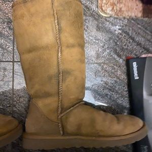 Tall chestnut classic Ugg’s